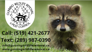 Logo-Gunning Wildlife Removal